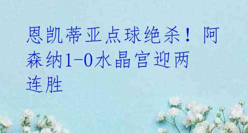 恩凯蒂亚点球绝杀!阿森纳1-0水晶宫迎两连胜