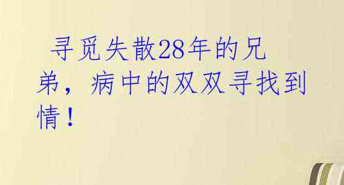 寻觅失散28年的兄弟,病中的双双寻找到情!