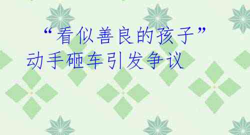 “看似善良的孩子”动手砸车引发争议