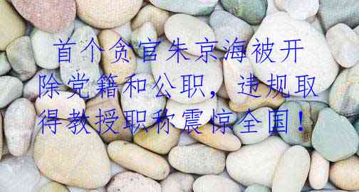 首个贪官朱京海被开除党籍和公职,违规取得教授职称震惊全国!