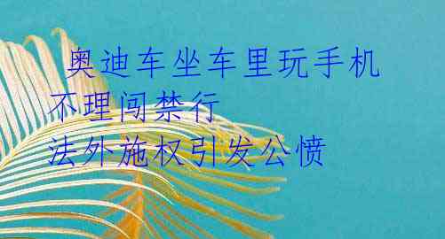  奥迪车坐车里玩手机不理闯禁行 法外施权引发公愤 