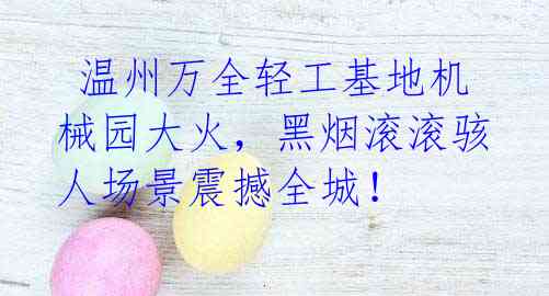 温州万全轻工基地机械园大火,黑烟滚滚骇人场景震撼全城!