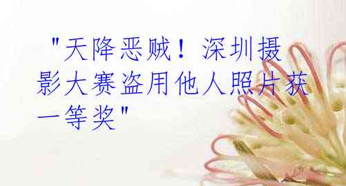 "天降恶贼!深圳摄影大赛盗用他人照片获一等奖"