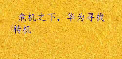 危机之下,华为寻找转机