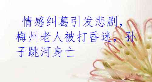 情感纠葛引发悲剧,梅州老人被打昏迷,孙子跳河身亡