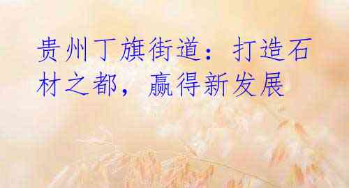 贵州丁旗街道:打造石材之都,赢得新发展