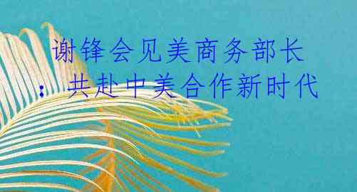 谢锋会见美商务部长:共赴中美合作新时代