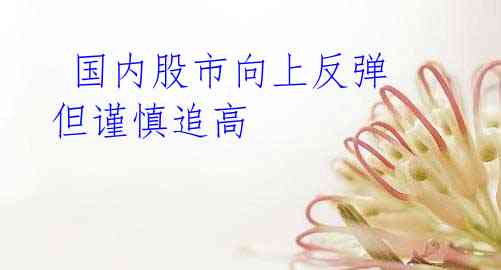 国内股市向上反弹 但谨慎追高
