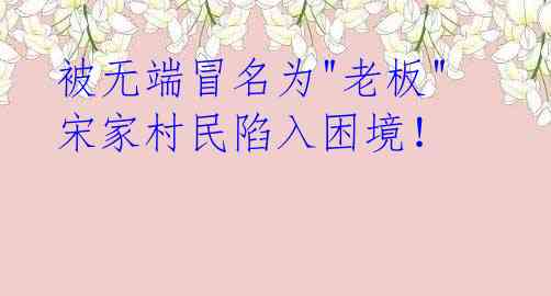 被无端冒名为"老板" 宋家村民陷入困境!