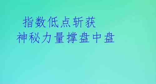 指数低点斩获 神秘力量撑盘中盘