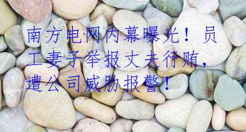 南方电网内幕曝光!员工妻子举报丈夫行贿,遭公司威胁报警!
