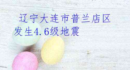 辽宁大连市普兰店区发生4.6级地震