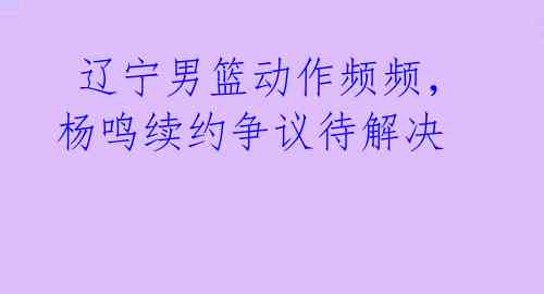 辽宁男篮动作频频,杨鸣续约争议待解决