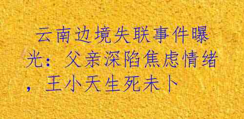  云南边境失联事件曝光：父亲深陷焦虑情绪，王小天生死未卜 