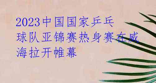 2023中国国家乒乓球队亚锦赛热身赛在威海拉开帷幕 