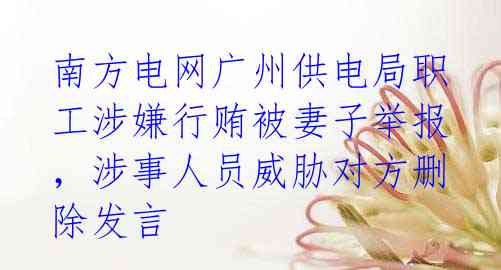 南方电网广州供电局职工涉嫌行贿被妻子举报,涉事人员威胁对方删除发言
