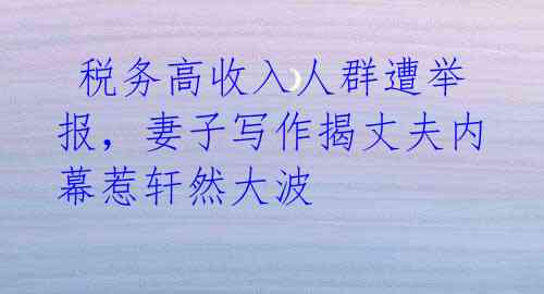 税务高收入人群遭举报,妻子写作揭丈夫内幕惹轩然大波