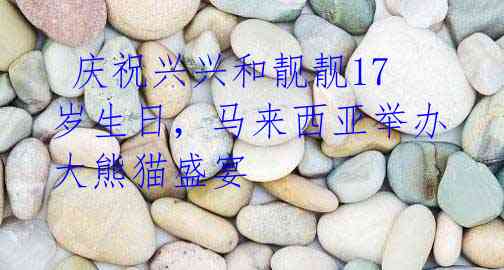 庆祝兴兴和靓靓17岁生日,马来西亚举办大熊猫盛宴