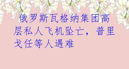  俄罗斯瓦格纳集团高层私人飞机坠亡，普里戈任等人遇难 