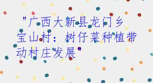 "广西大新县龙门乡宝山村:树仔菜种植带动村庄发展"