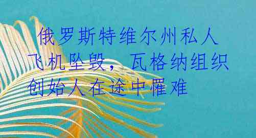 俄罗斯特维尔州私人飞机坠毁,瓦格纳组织创始人在途中罹难
