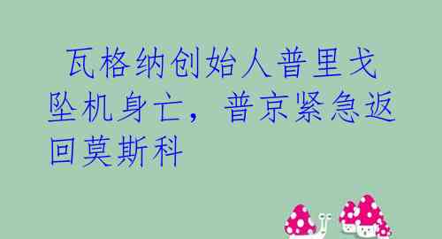  瓦格纳创始人普里戈坠机身亡，普京紧急返回莫斯科 