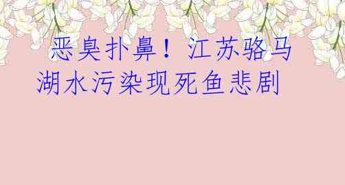 恶臭扑鼻!江苏骆马湖水污染现死鱼悲剧