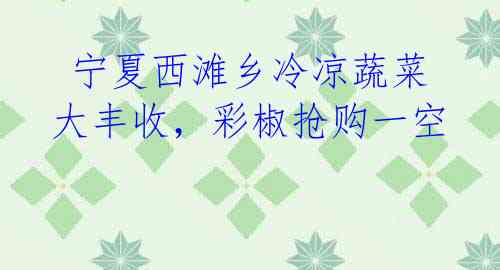 宁夏西滩乡冷凉蔬菜大丰收,彩椒抢购一空