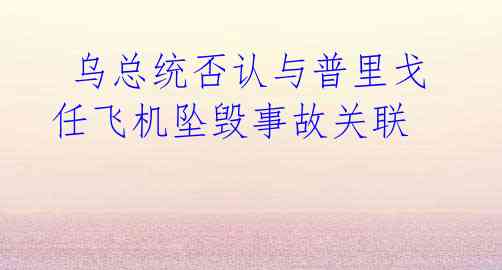 乌总统否认与普里戈任飞机坠毁事故关联