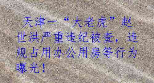 天津一“大老虎”赵世洪严重违纪被查,违规占用办公用房等行为曝光!