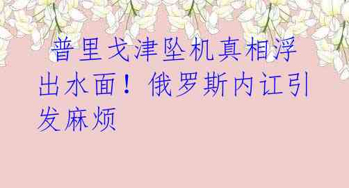 普里戈津坠机真相浮出水面!俄罗斯内讧引发麻烦