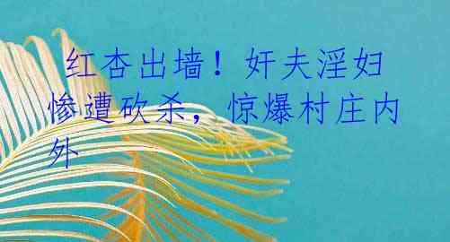 红杏出墙!奸夫淫妇惨遭砍杀,惊爆村庄内外