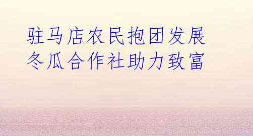 驻马店农民抱团发展 冬瓜合作社助力致富