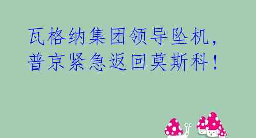 瓦格纳集团领导坠机,普京紧急返回莫斯科! 