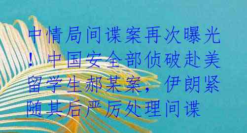 中情局间谍案再次曝光！中国安全部侦破赴美留学生郝某案，伊朗紧随其后严厉处理间谍 