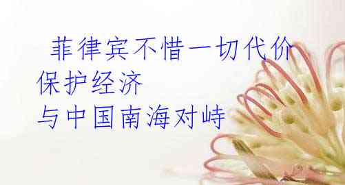 菲律宾不惜一切代价保护经济 与中国南海对峙
