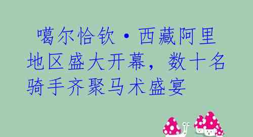 噶尔恰钦·西藏阿里地区盛大开幕,数十名骑手齐聚马术盛宴