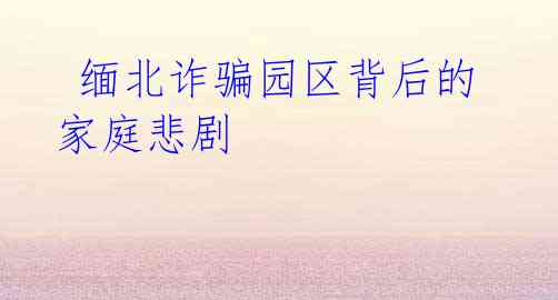 缅北诈骗园区背后的家庭悲剧
