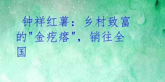 钟祥红薯:乡村致富的"金疙瘩",销往全国