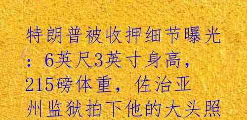 特朗普被收押细节曝光:6英尺3英寸身高,215磅体重,佐治亚州监狱拍下他的大头照后获释离开