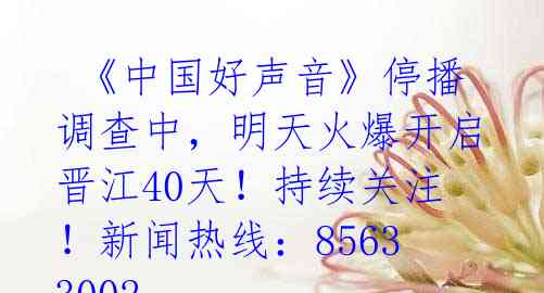 《中国好声音》停播调查中,明天火爆开启晋江40天!持续关注!新闻热线:85633002
