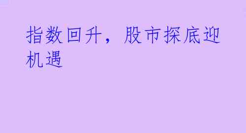 指数回升,股市探底迎机遇