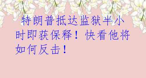 特朗普抵达监狱半小时即获保释!快看他将如何反击!