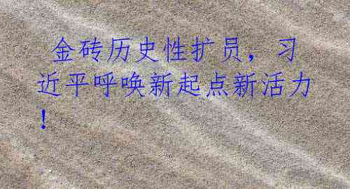 金砖历史性扩员,习近平呼唤新起点新活力!