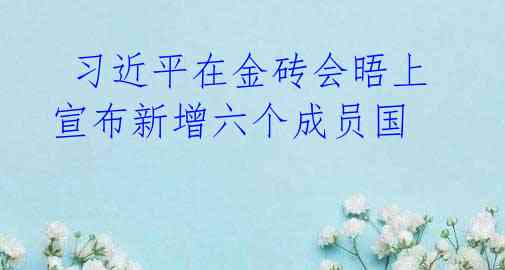 习近平在金砖会晤上宣布新增六个成员国