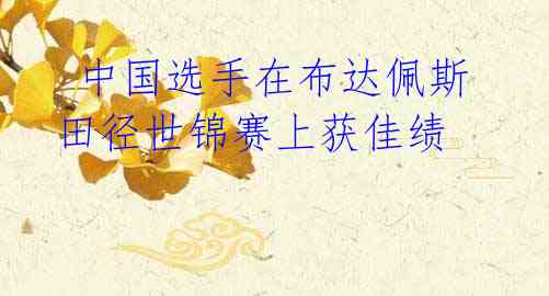 中国选手在布达佩斯田径世锦赛上获佳绩
