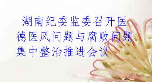 湖南纪委监委召开医德医风问题与腐败问题集中整治推进会议