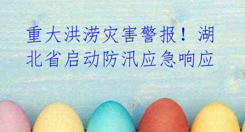 重大洪涝灾害警报!湖北省启动防汛应急响应
