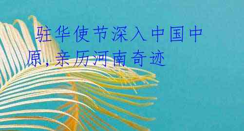 驻华使节深入中国中原,亲历河南奇迹