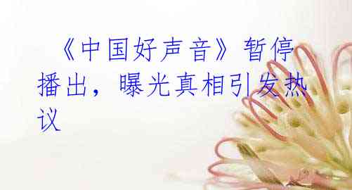 《中国好声音》暂停播出,曝光真相引发热议
